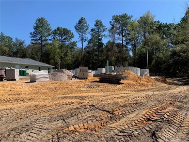 Actual homesite- taken 3/17/25