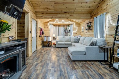 211 Young St, Johnson City, TN 37601 - photo 4