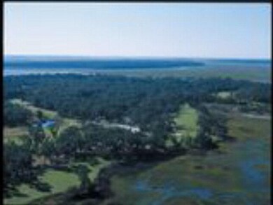 415 Blackberry Ln NE, Shellman Bluff, GA 31331 - photo 2