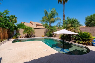 Backyard Pool