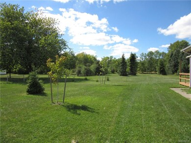 Side Lot with new trees planted.