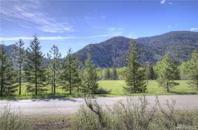 1110 Twisp River Rd, Twisp, WA 98856 - photo 2