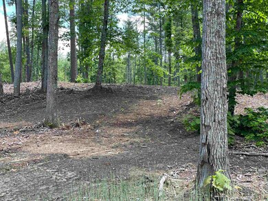 00 Jack Russell Rd unit 408-45-2, Effingham, NH 03882 - photo 4