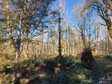 11 Nickelbush Rd, Quilcene, WA 98376 - photo 2