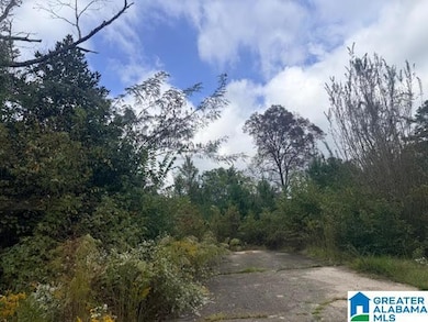 1919 Heritage Rd, Moody, AL 35004 - photo 3