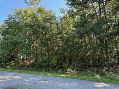 xxx Shadow Oak Cir, Crawfordville, FL 32327 - photo 3