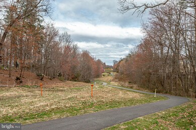 1403 Newport Spring Ct, Reston, VA 20194 - photo 5