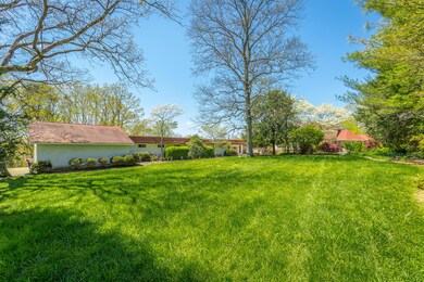 Open Front Yard