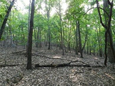 0 Trogdon St, Asheboro, NC 27205 - photo 6