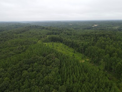 0 Old Highway 18 unit 24351588, Stewart, TN 37175 - photo 6