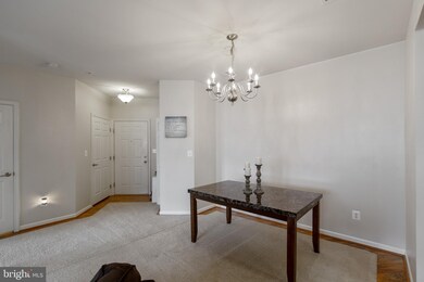 7270 Darby Downs unit M, Elkridge, MD 21075 - photo 6