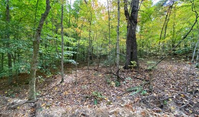 River View Fall277