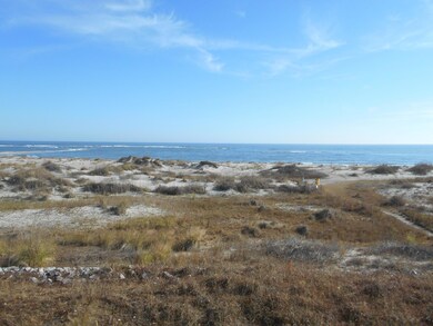 12 PALMETTO UNIT D (9)