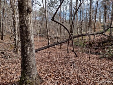 Lot 97 Melrose Ct unit 97, Lake Lure, NC 28746 - photo 5