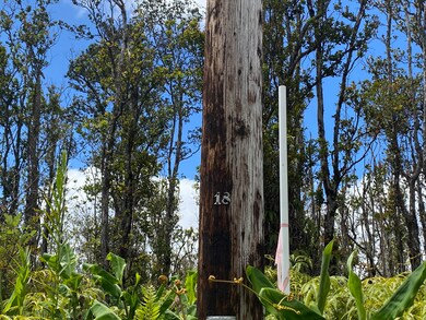 0 Makoa Rd unit 726211, Volcano, HI 96785 - photo 7