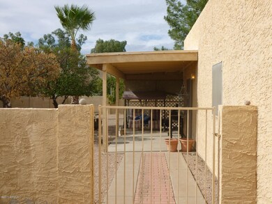 Side yard