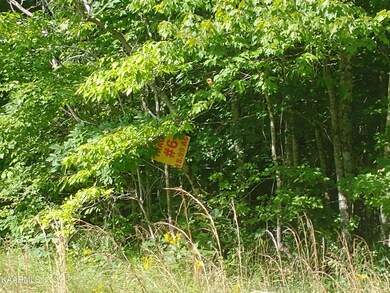 Lot 6b