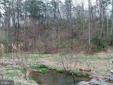 0 Three Run Rd unit 1000089147, Bunker Hill, WV 25413 - photo 2