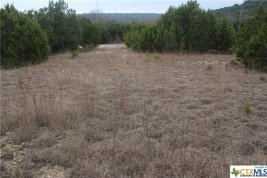 000000 Pecan Cove, Copperas Cove, TX 76522 - photo 6