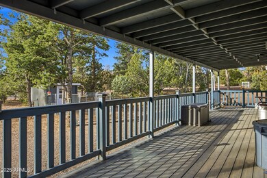 3051 State Route 277 --, Overgaard, AZ 85933 - photo 7