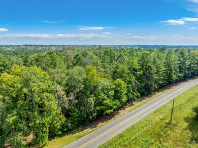 0 Tbd Savage Forks Rd, Leesville, LA 71446 - photo 5