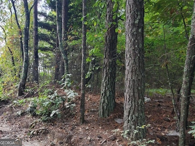 1793 Ragan Rd, Douglasville, GA 30184 - photo 3