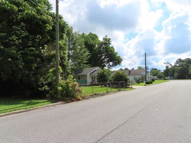 227 E Hammond St, Winterville, NC 28590 - photo 4