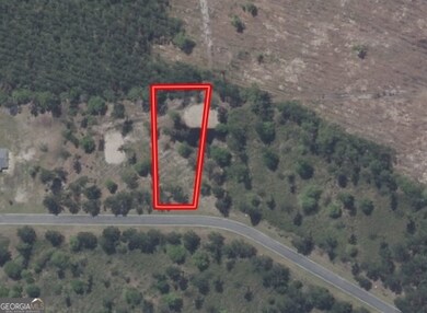 0 Big Horse Dr unit 83, Waynesville, GA 31566 - photo 6