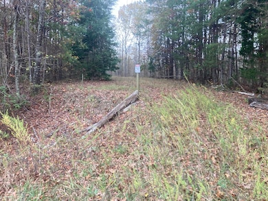 Cleared area near Hwy.