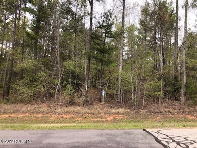 240 Riverhills Trail Pic