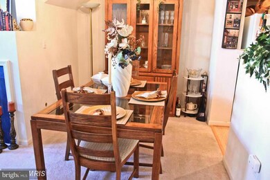 42220 Terrazzo Terrace unit 407, Stone Ridge, VA 20105 - photo 5