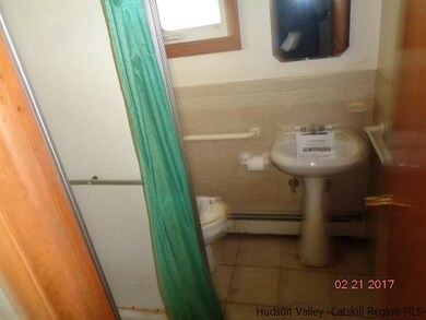 76 N Washington St, Athens, NY 12015 - photo 7