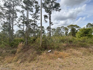 1252 Burlwood Ave, Fort Myers, FL 33913 - photo 2