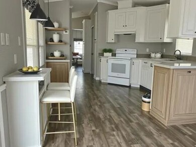 6941 Macdonald Ct unit 14, Zephyrhills, FL 33541 - photo 4