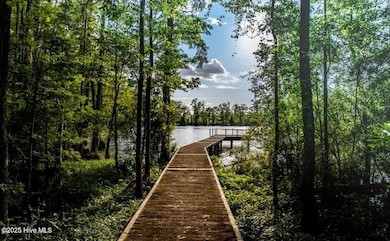 220 Colleton Ct, Edenton, NC 27932 - photo 4