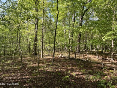 658 Peavine Firetower Rd, Crossville, TN 38571 - photo 2