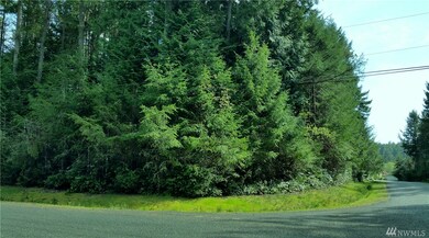 9005 Johnson Rd unit AI, Anderson Island, WA 98303 - photo 3