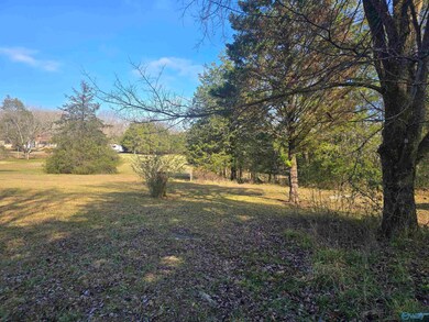 4378 Cathedral Caverns Rd, Woodville, AL 35776 - photo 7