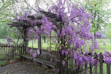 303 State Route 4, Marion, OH 43302 - photo 7