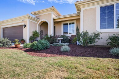 6 - Front Yard