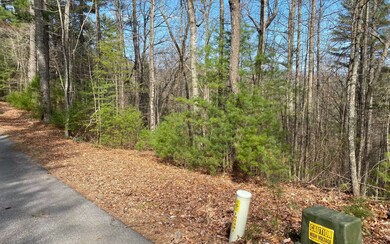 Additional View