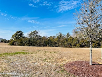 603 Cannonsgate Dr, Newport, NC 28570 - photo 2
