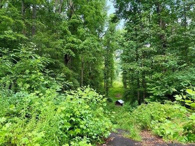 3 Huscusson Dr, Franklin, NC 28734 - photo 4