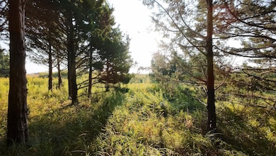 N Platte unit NE 69101, North Platte, NE 69101 - photo 7