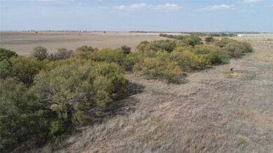 TBD Fm 2647, Ballinger, TX 76821 - photo 3