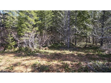 0 Lahar Ln unit 8 20357887, Cougar, WA 98616 - photo 7