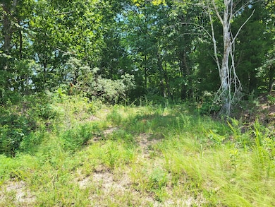 9 Birdsong Rd, Holladay, TN 38341 - photo 2