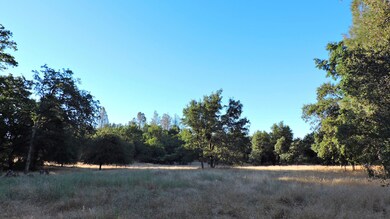 0 Fieldbrook Estates Dr unit 17-559, Redding, CA 96003 - photo 4