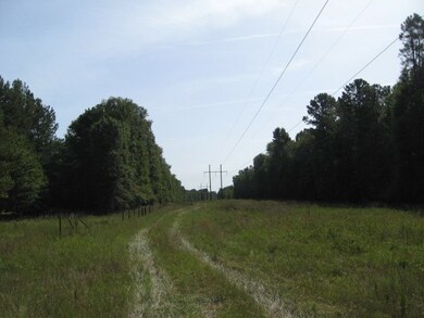 00 Old Savannah Road & Us 280, Ailey, GA 30410 - photo 3