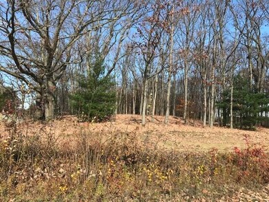 hardwoods right one